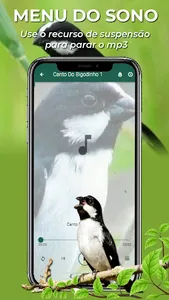 Canto Do Bigodinho screenshot 2
