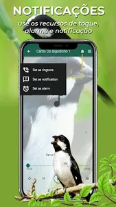 Canto Do Bigodinho screenshot 3