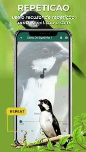 Canto Do Bigodinho screenshot 5