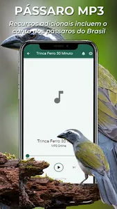 Canto Esquentar Trinca Ferro screenshot 0