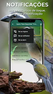 Canto Esquentar Trinca Ferro screenshot 1