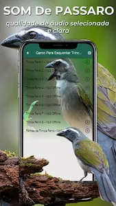 Canto Esquentar Trinca Ferro screenshot 3