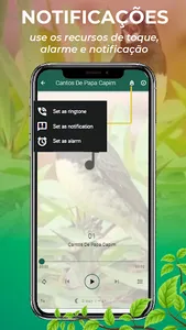 Canto De Papa-Capim screenshot 13