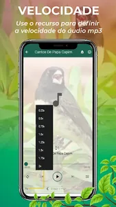 Canto De Papa-Capim screenshot 4