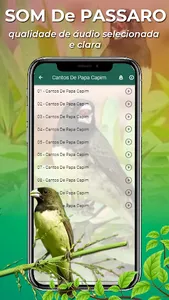Canto De Papa-Capim screenshot 5