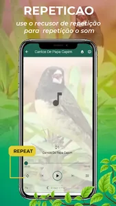 Canto De Papa-Capim screenshot 6