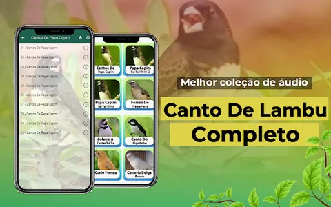 Canto De Papa-Capim screenshot 8