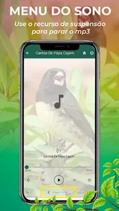 Canto De Papa-Capim screenshot 9
