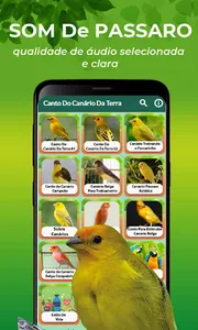 Canto Do Canário Da Terra screenshot 1