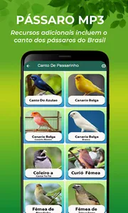 Canto Do Canário Da Terra screenshot 2