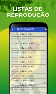 Canto Do Canário Da Terra screenshot 7