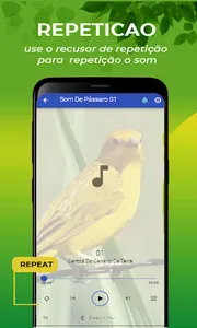 Canto Do Canário Da Terra screenshot 9