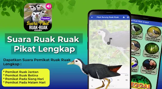 Suara Ruak Ruak Pikat Lengkap screenshot 0
