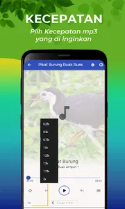 Suara Ruak Ruak Pikat Lengkap screenshot 13