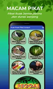 Suara Ruak Ruak Pikat Lengkap screenshot 2