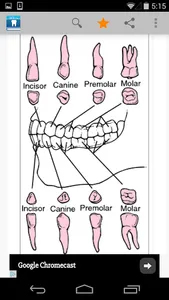 Dental Dictionary by Farlex screenshot 1