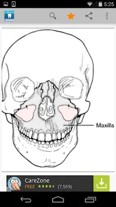 Dental Dictionary by Farlex screenshot 3