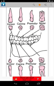 Dental Dictionary by Farlex screenshot 6