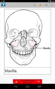 Dental Dictionary by Farlex screenshot 8