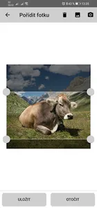 Farmsoft screenshot 5
