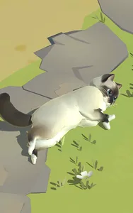 Kitty Cat Resort screenshot 14