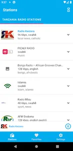 Tanzania Radio Stations screenshot 0