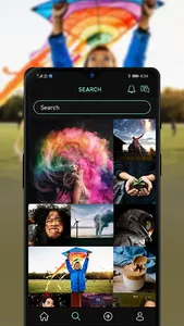 FFLASHH screenshot 5