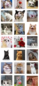 WASticker Flowers Stickers Cat screenshot 3