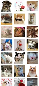 WASticker Flowers Stickers Cat screenshot 4
