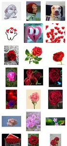 WASticker Flowers Stickers Cat screenshot 5