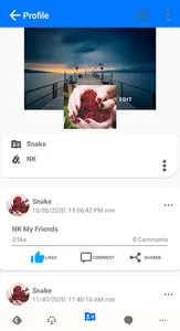 Fake World screenshot 0