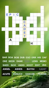 Fill In Crossword Puzzles screenshot 4