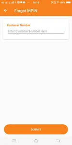 RNSB Positive Pay screenshot 13