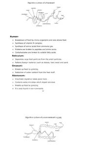 Agriculture Notes screenshot 4