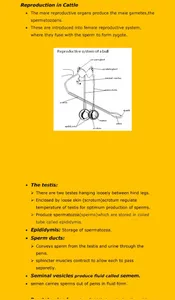 Agriculture Notes screenshot 5
