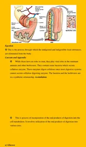 Biology Notes screenshot 5