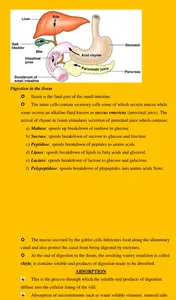 Biology Notes screenshot 6
