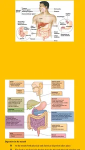 Biology Notes screenshot 9