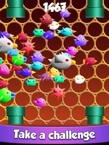 Cool Birds Fun Smash for Kids screenshot 11