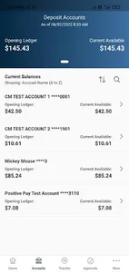 First American Bank eBusiness screenshot 2