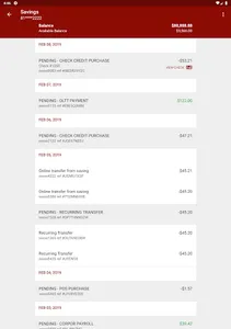 First Community Bank Nebraska screenshot 13