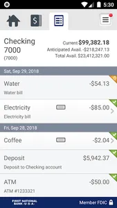 FNB USA Business screenshot 4