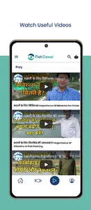 Fish Dawai screenshot 2