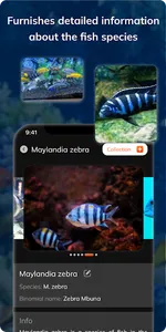 FishDetect - Fish Identifier screenshot 10