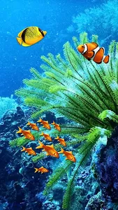 Fish Lock Screen Live Wallpape screenshot 14