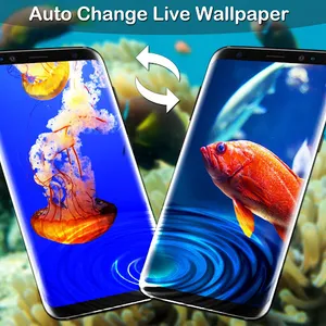 Fish Lock Screen Live Wallpape screenshot 3