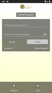 Flanagan State Bank screenshot 1