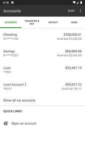 Flanagan State Bank screenshot 2