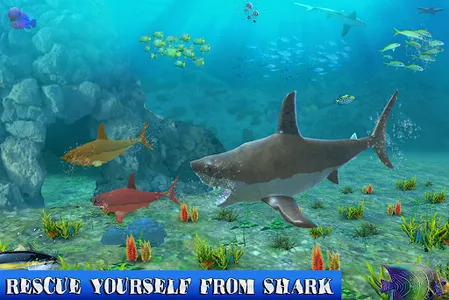 Big Shark Vs Small Sharks screenshot 12