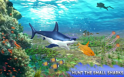 Big Shark Vs Small Sharks screenshot 18